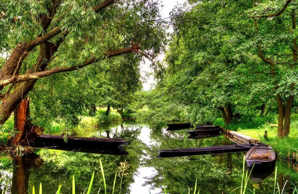 Spreewald berlin